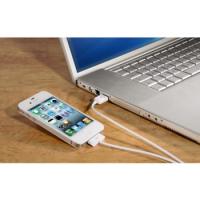 Кабель Hama Apple 30-pin-USB A (m) 1м H-106324 для Apple iPad 1/2/3 (00106324)