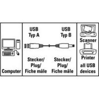 Кабель Hama H-34694 00034694 USB A(m) USB B(m) 1.5м