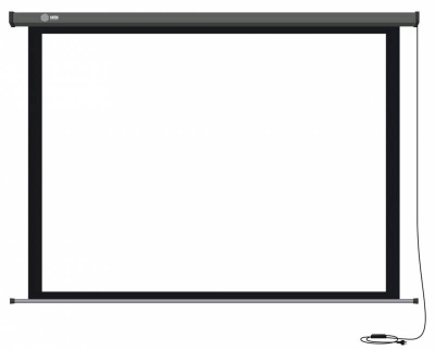 Экран Cactus 206x274см Professional Motoscreen CS-PSPM-206x274 4:3 настенно-потолочный рулонный (моторизованный привод)