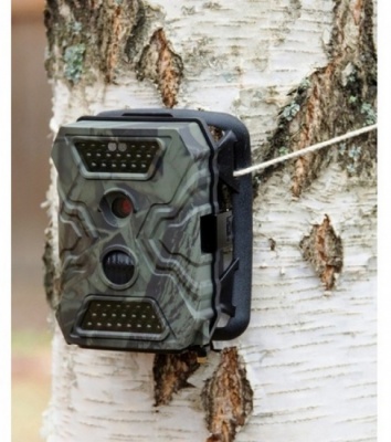 Камера видеонаблюдения Falcon Eye FE-AC100 цветная корп.:зеленый